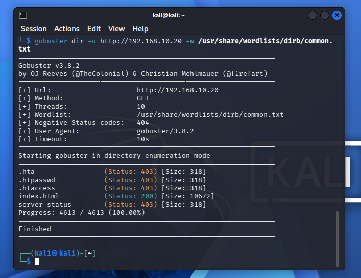 Gobuster directory enumeration results